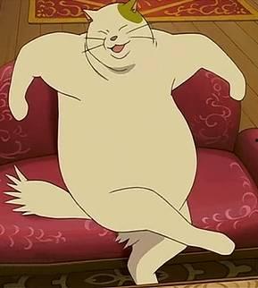 猫的报恩在线观看,温情治愈，感人至深的宠物奇缘